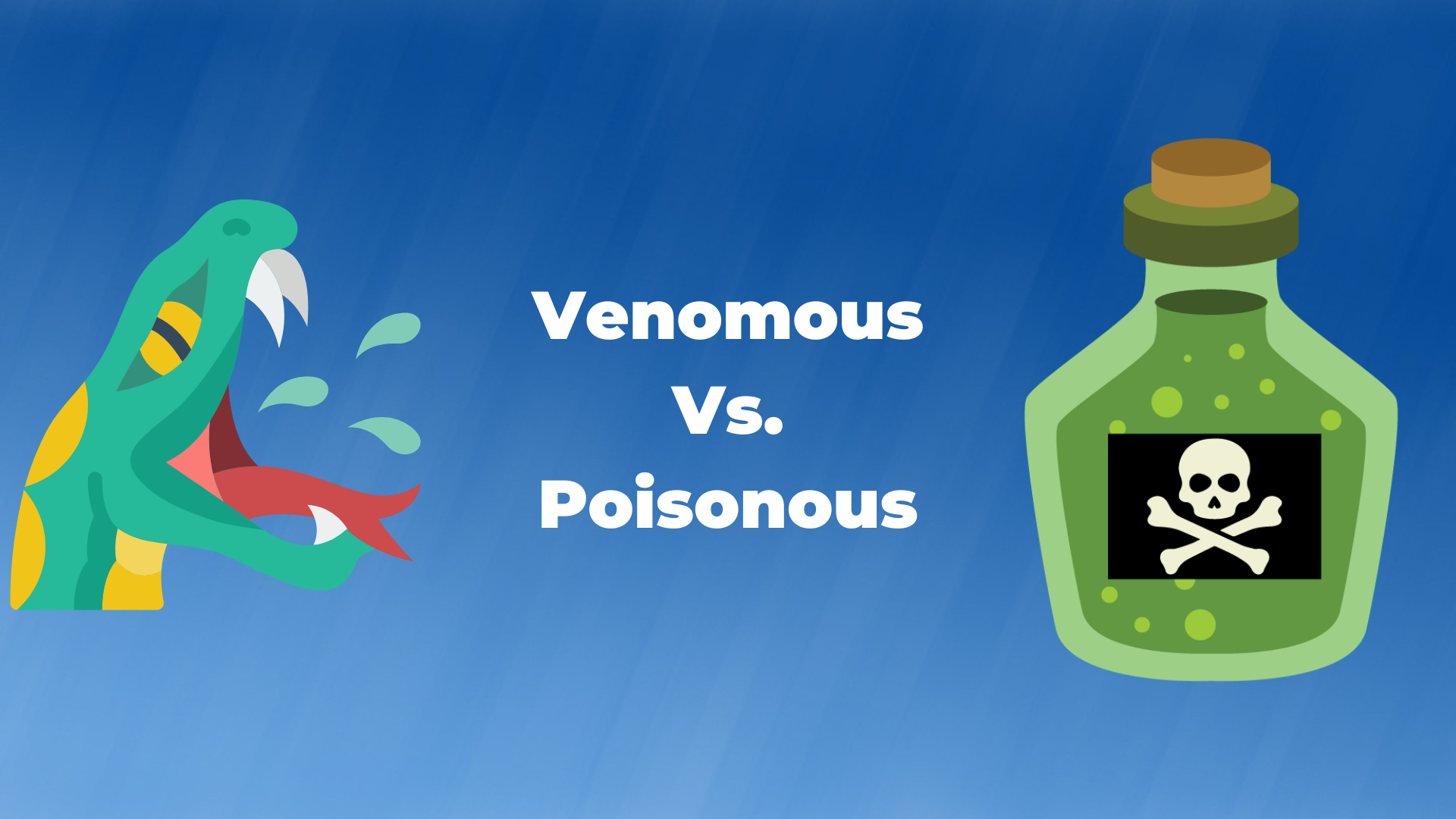 Switch Reward Card - Coins Vs. Tokens Blog - Venomous Vs. Poisonous